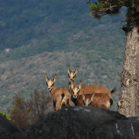 Scalotta - Private Garden With Jacuzzi And Appartement *