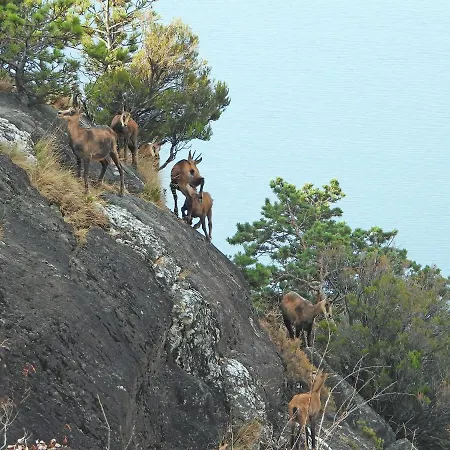דירה Scalotta - Private Garden With Jacuzzi And *