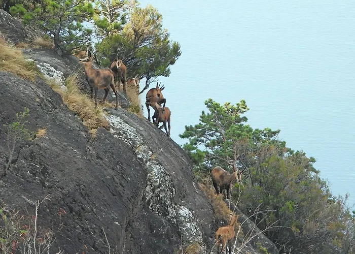 Апартаменты Scalotta - Private Garden With Jacuzzi And *