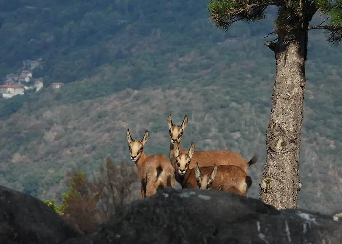 Scalotta - Private Garden With Jacuzzi And Апартаменты *